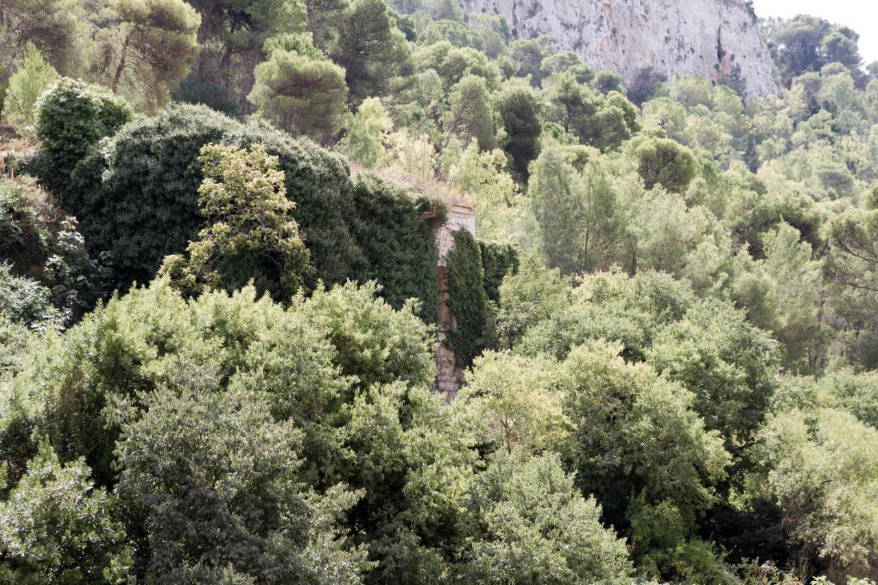 Casa Degli Avi Don Neli, Immersa Nella Natura Μόντικα Εξωτερικό φωτογραφία