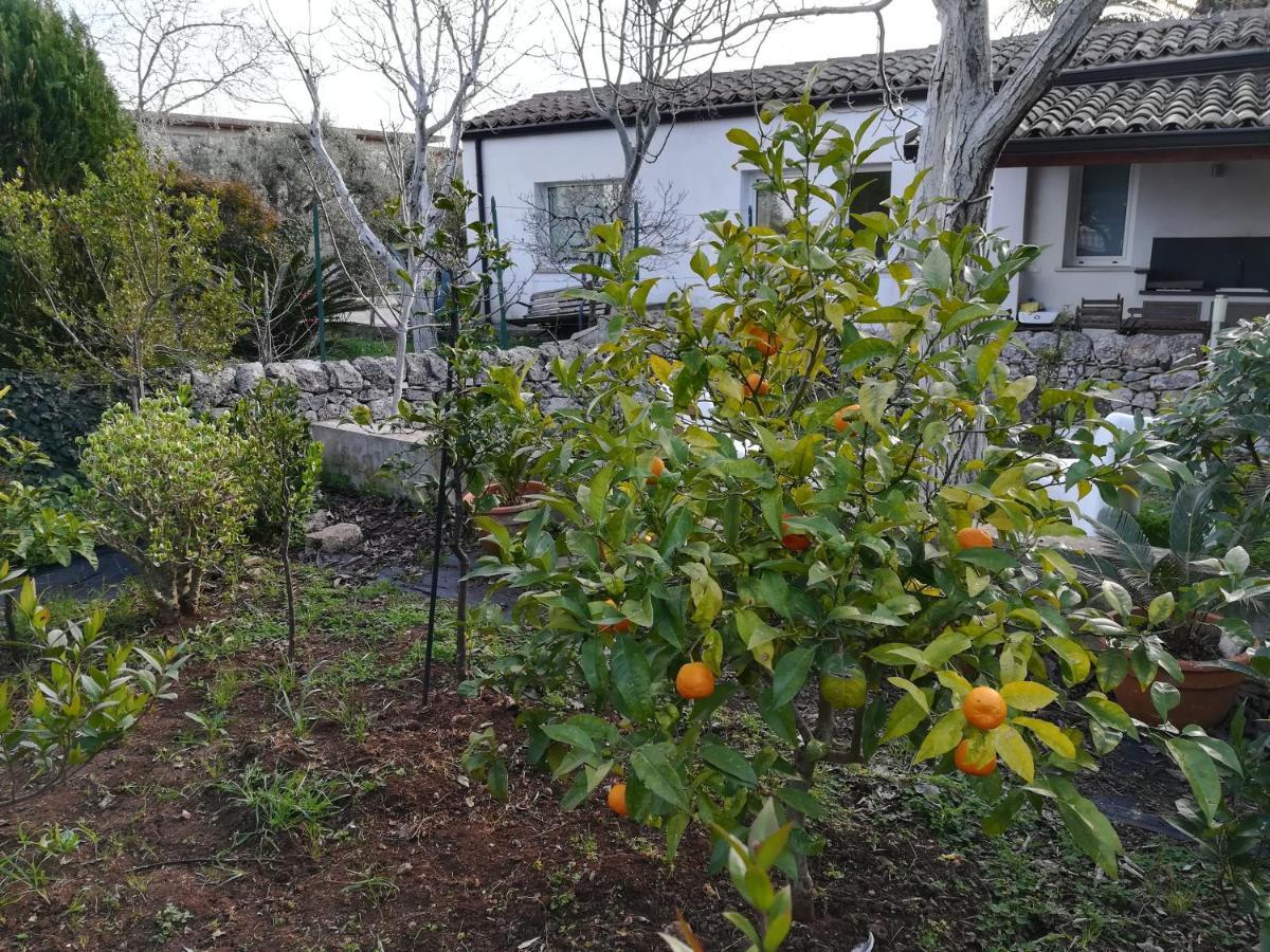 Casa Degli Avi Don Neli, Immersa Nella Natura Μόντικα Εξωτερικό φωτογραφία