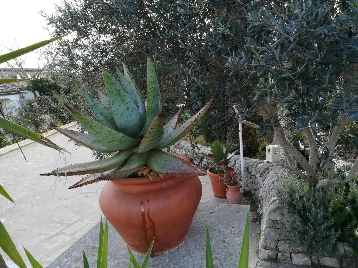 Casa Degli Avi Don Neli, Immersa Nella Natura Μόντικα Εξωτερικό φωτογραφία
