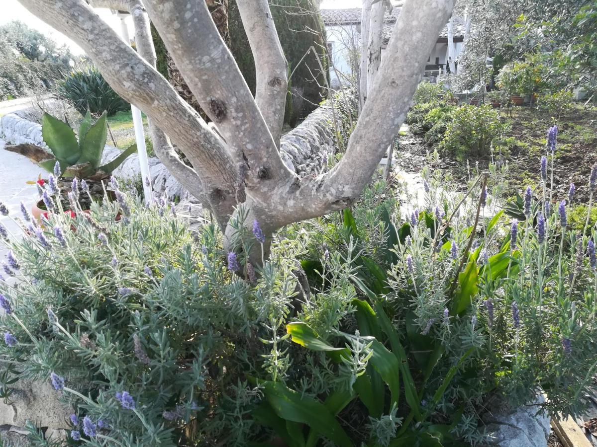 Casa Degli Avi Don Neli, Immersa Nella Natura Μόντικα Εξωτερικό φωτογραφία