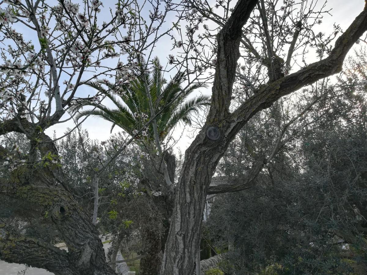 Casa Degli Avi Don Neli, Immersa Nella Natura Μόντικα Εξωτερικό φωτογραφία
