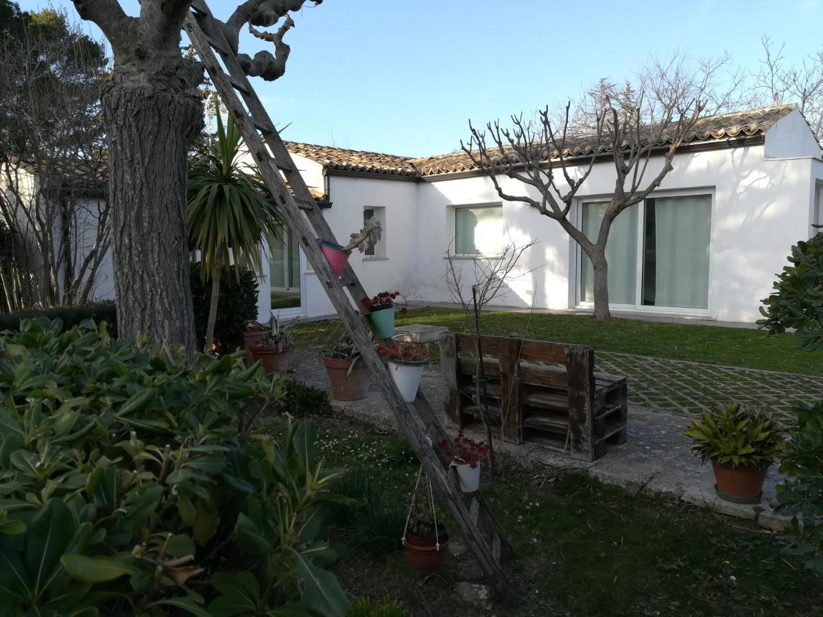 Casa Degli Avi Don Neli, Immersa Nella Natura Μόντικα Εξωτερικό φωτογραφία